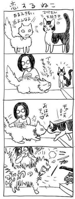 私は猫の毛のアレルギーだそうなんだけど、負けない。 