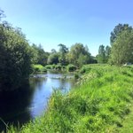 Photo by Deer Park Fishery (@DeerParkFish)
