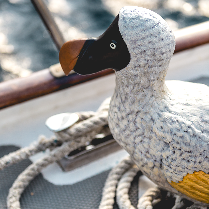 DodoJewels's tweet photo. Dodo is on board! Travel with Dodo to discover the Sound of Summer.  #TheSoundofSummer #DodoSummer #Jewels #Jewelry https://t.co/SD9IAtHDXj