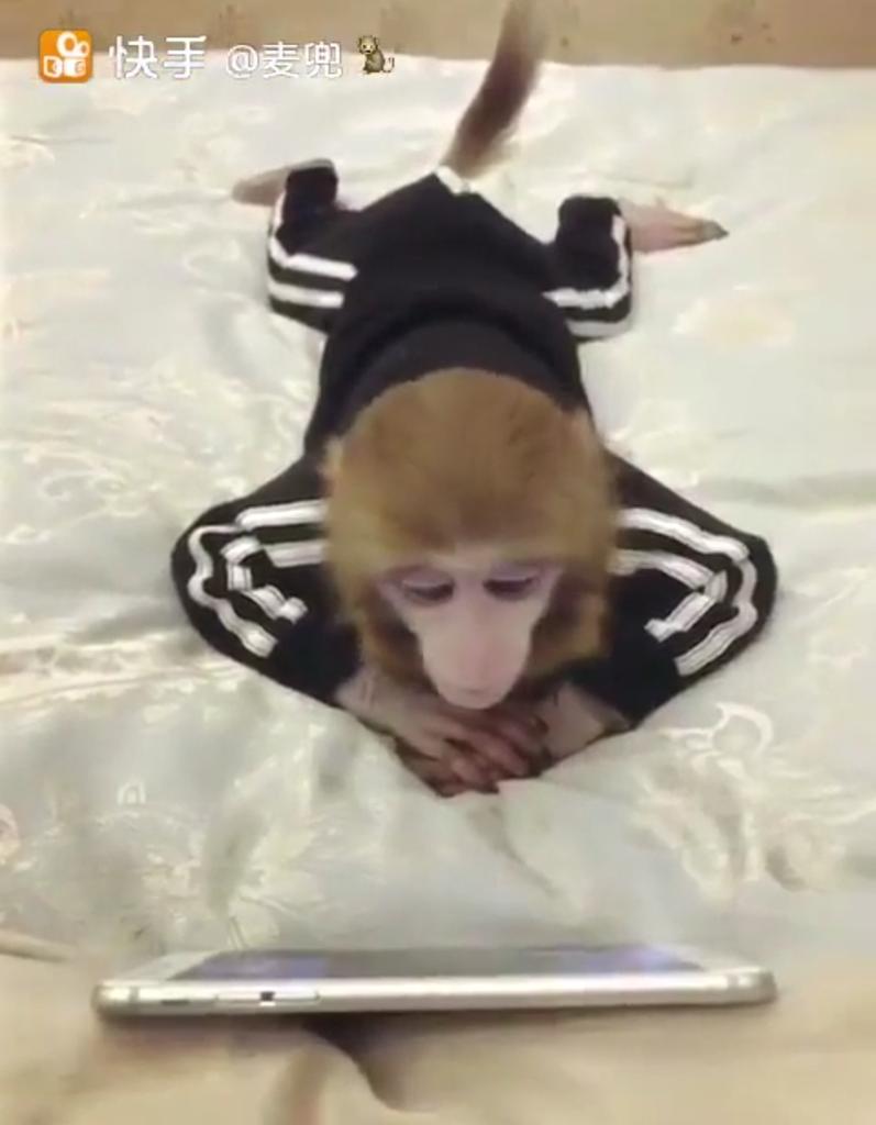 لشرح وجهة نظرك عليك أن تكتب وتدعم ماتقول بدلائل وبراهين، ولكن هناك لحظات نادرة حيث كل ما تحتاجه هو الاسترخاء وترك المتلقي ليرى ما تقصد بعينه