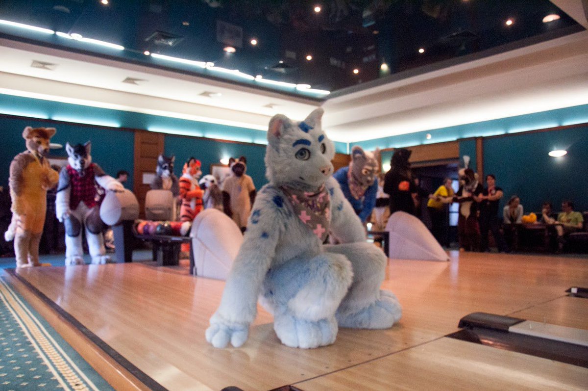 RolandPaws's tweet photo. While playing bowling... and falling down with my paws up. OOps. Done at @uafurence #WUFF2017 https://t.co/426GRvpc9R