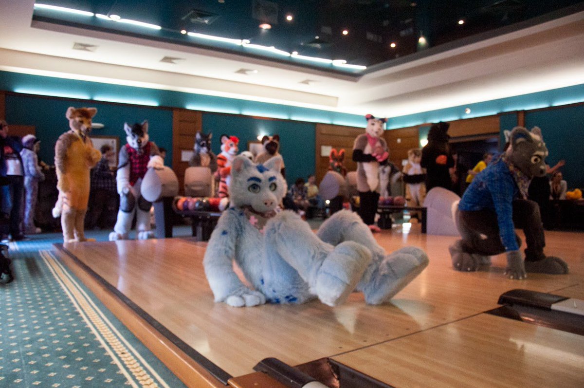 RolandPaws's tweet photo. While playing bowling... and falling down with my paws up. OOps. Done at @uafurence #WUFF2017 https://t.co/426GRvpc9R