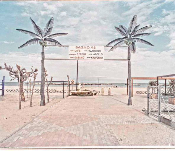 Malaquita Design tweet media