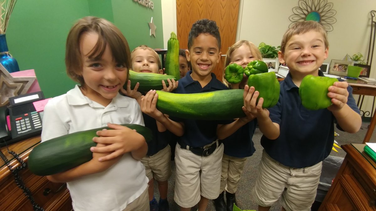 bfaircloth0211's tweet photo. Whoa! What a harvest! K STEAM garden. #dirttotable @SBattyanyi @LibertyCoSchool @Ckanderson_LCSS https://t.co/YZuzmJXROe