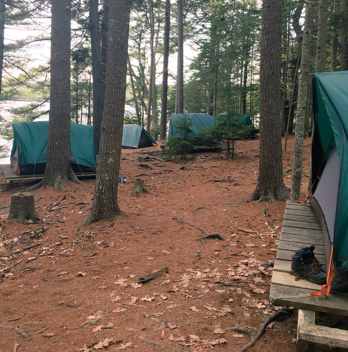 PeaksIslandES's tweet photo. These 5th graders are happily exhausted after 3 days of #outdooreducation! THANKS @Chewonki!  #PIESRising #strongertogether https://t.co/E3ObCeHMbU