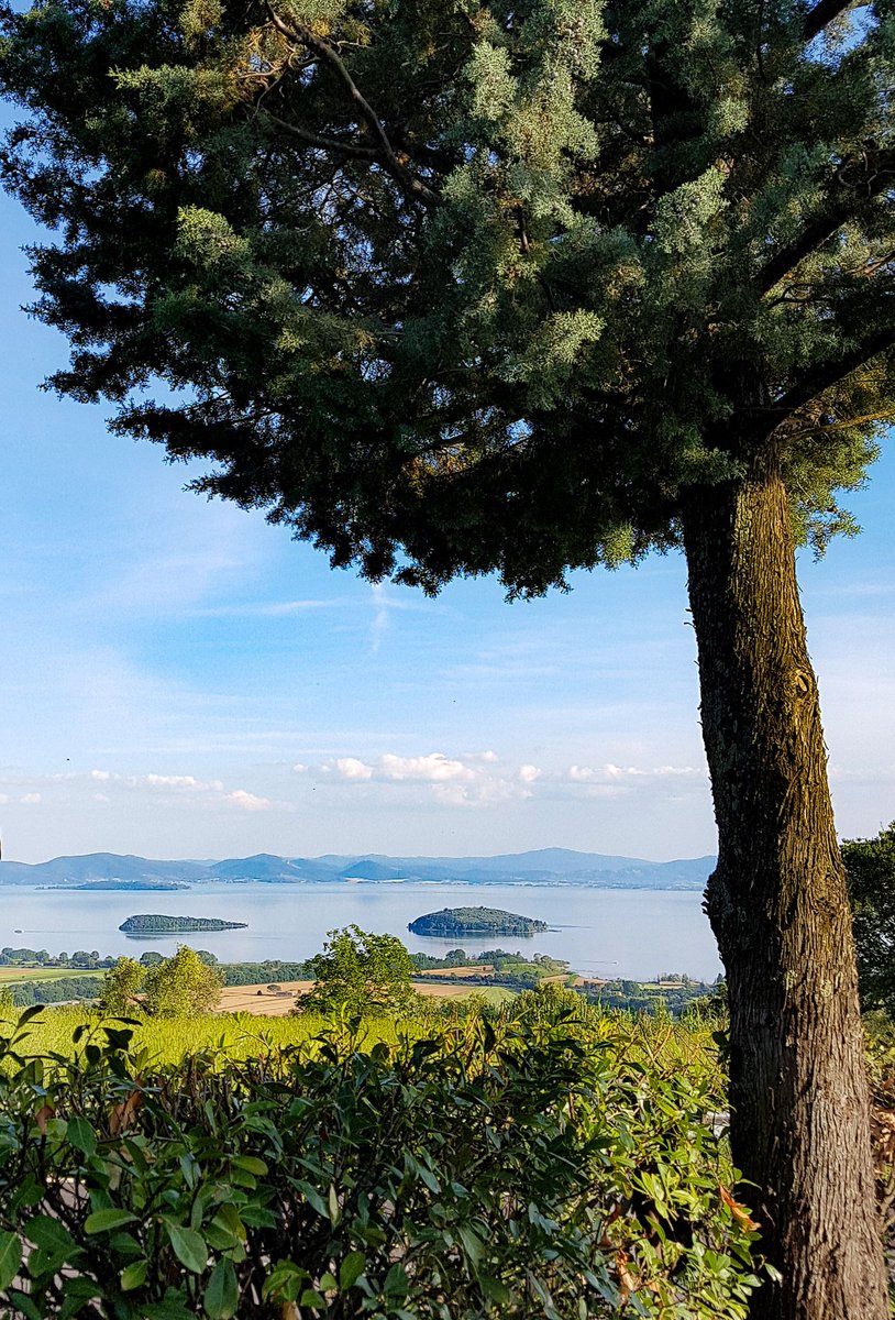 lorenzoborgia's tweet photo. #isole #lago #trasimeno #altrasimeno
#island #trasimenolake #umbria #italy #travel #nature #park #lake #green #water #tree #country #spring https://t.co/sZ7JQfdqbT