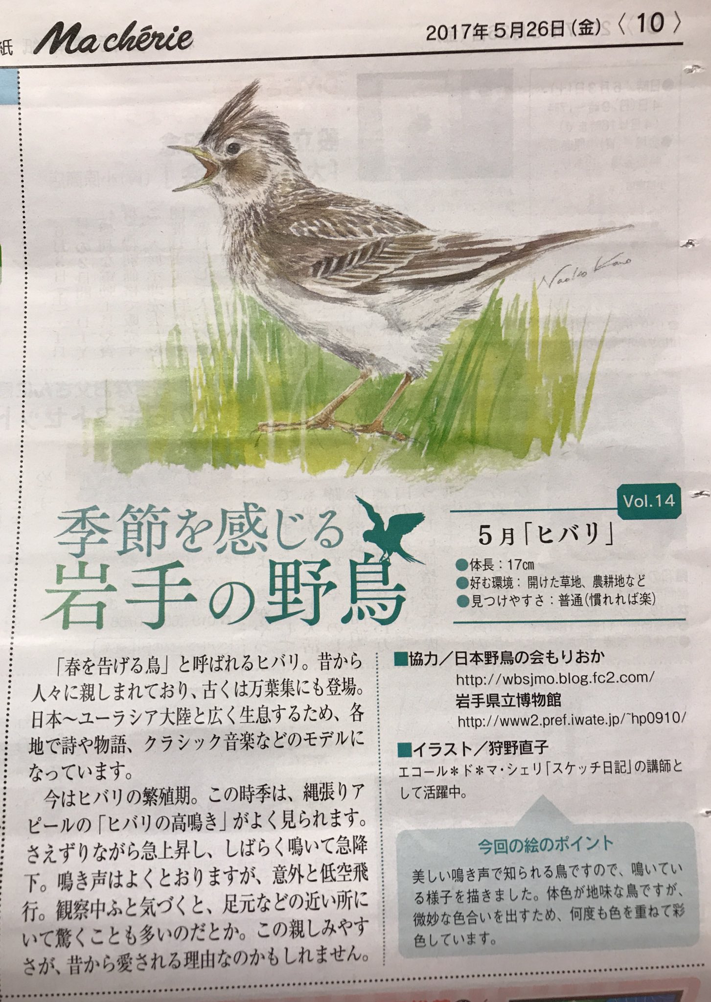 Nyororo 水彩イラスト用 きょうのマシェリ 季節を感じる岩手の野鳥 はヒバリです 水彩 水彩イラスト T Co Wh1d0nkeai Twitter Nyororo 水彩イラスト用 きょうのマシェリ 季節を感じる岩手の野鳥 はヒバリです 水彩 水彩イラスト T Co Wh1d0nkeai Twitter