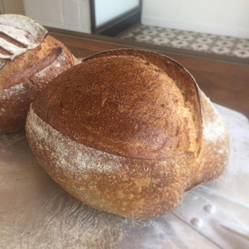 margotbakery's tweet photo. Star loaf of the day #themargot #sourdough #margotbakery #bread #eastfinchley #bread #baked https://t.co/V8V0Aje3Fz https://t.co/zHGeyVA4jn