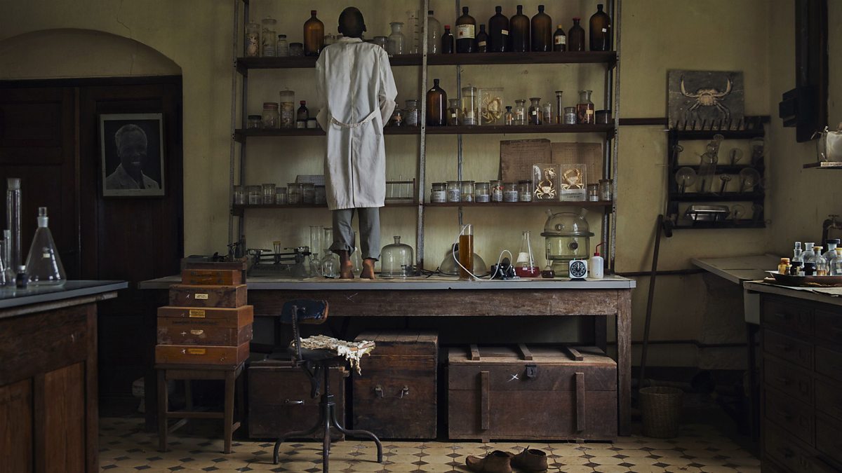 BBCAfrica's tweet photo. A story of a man who's keeping an abandoned lab in remote #Tanzania going decades after it closed after independence https://t.co/w4sDsFOJva https://t.co/FpptYUWcD0