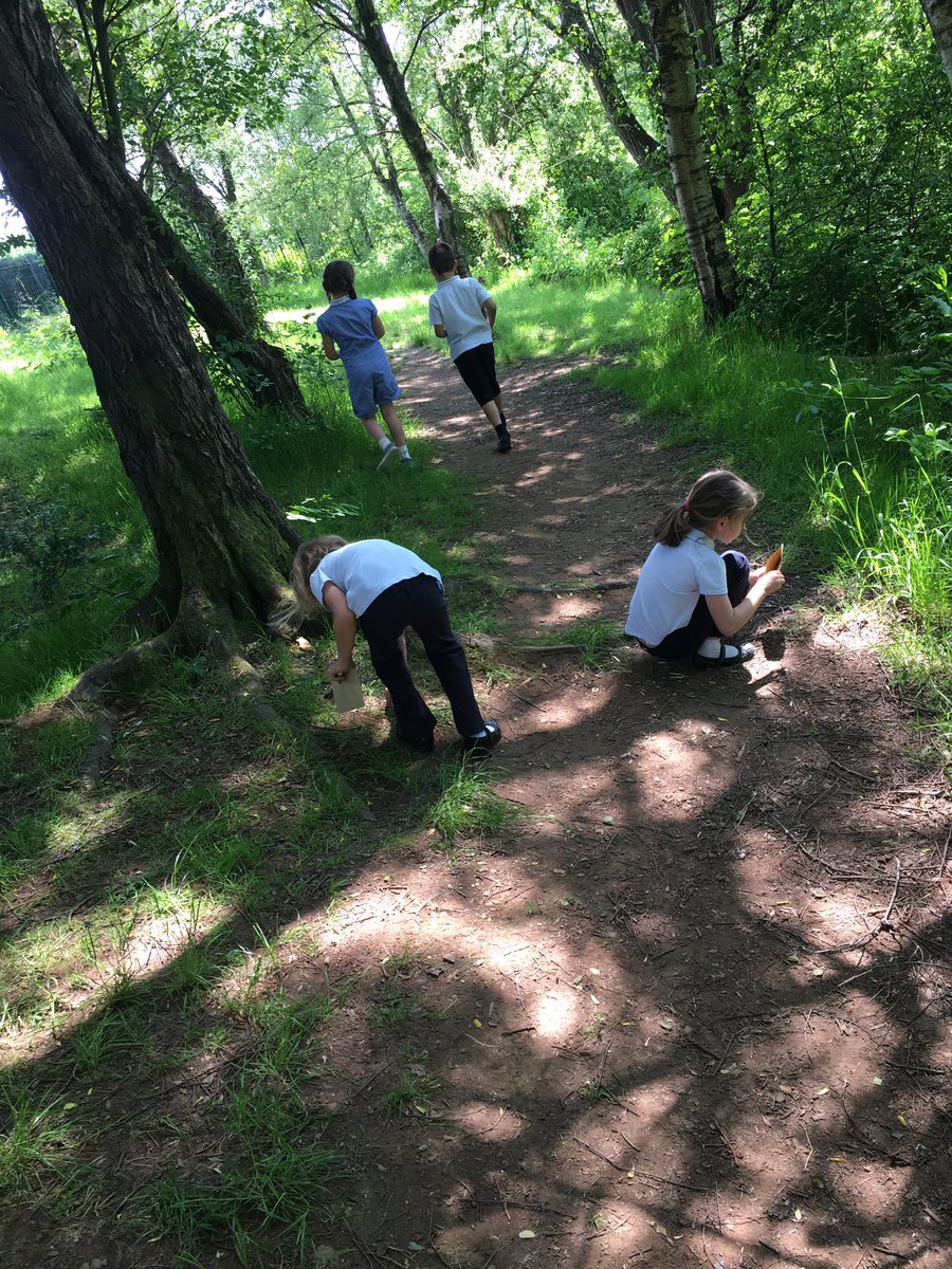 What lovely sunshine! ☀️🌼