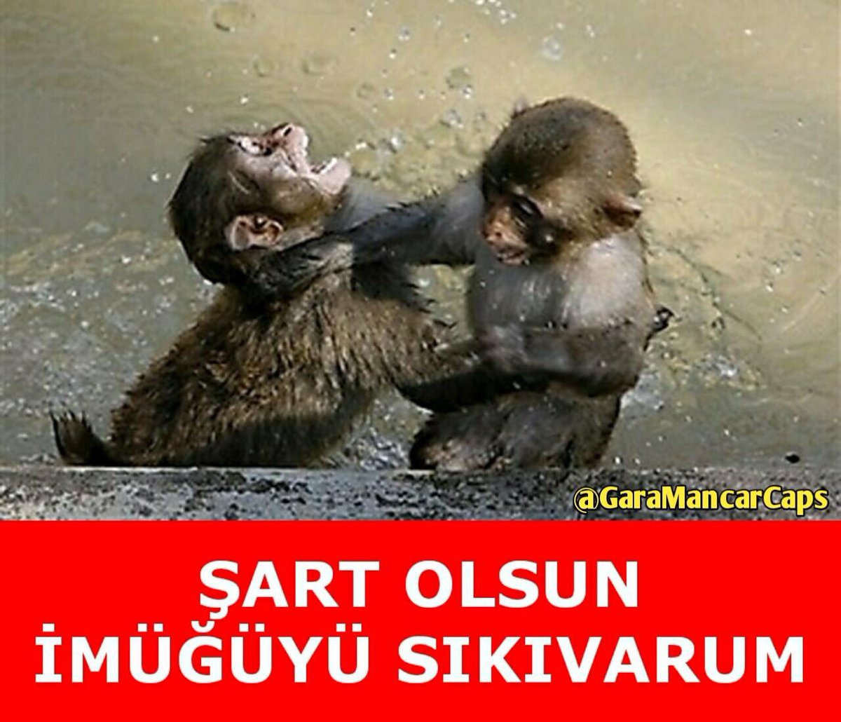 Şart olsun imüğüyü sıkıvarun