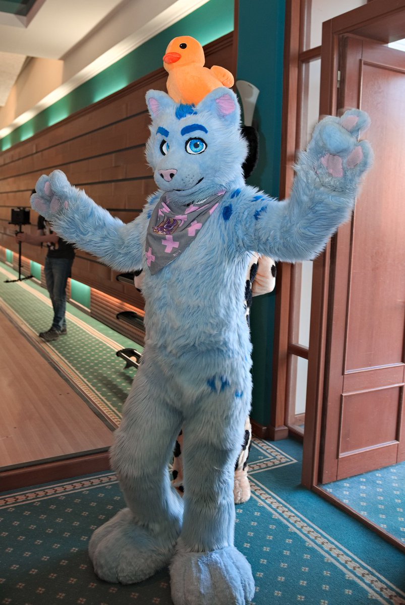 RolandPaws's tweet photo. I heard people liked my duck @uafurence #WUFF2017 by Igvar Jackal ( https://t.co/TEiCuBWhAl ) https://t.co/anmg759iVx