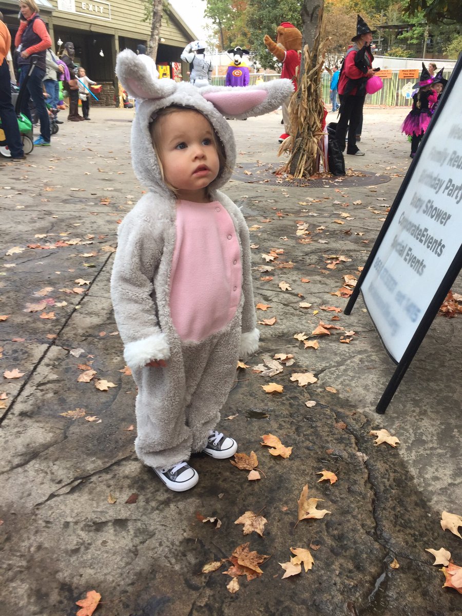 zreeseCF's tweet photo. Happy 2nd birthday to my little love Callie Girl today! https://t.co/q3SED3BFdD