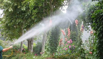 LundTreeService's tweet image. Spraying help prevent pests that can affect the health of your trees. Call us at (905) 884-0511 for more information.
#TreeSprayingServices