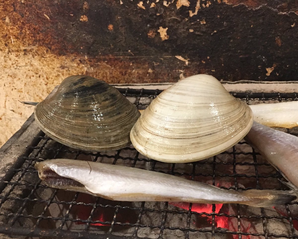 千葉工大公認 環境科学研究会 Twitterren 環境研では谷津干潟にいるホンビノス貝を使った水質浄化作用の実験も計画しています 出かけた先のレストランでホンビノス貝を見つけました とても美味しくて驚きです 美味しくて水も綺麗にしてくれるすごい貝
