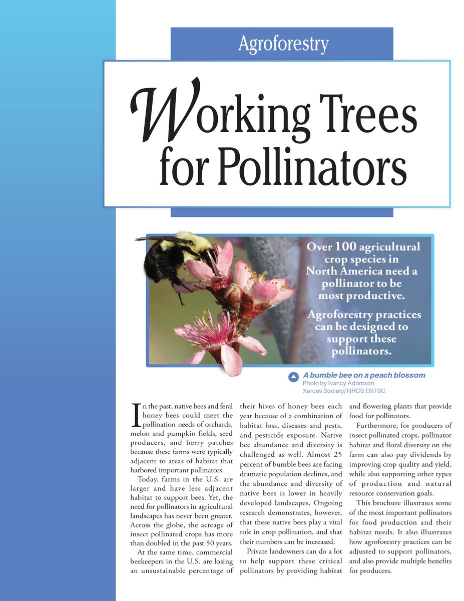 forestservice's tweet photo. Use #Agroforestry to plant #WorkingTrees for pollinators https://t.co/4bHJ7hmhyO https://t.co/8PixR4K47i