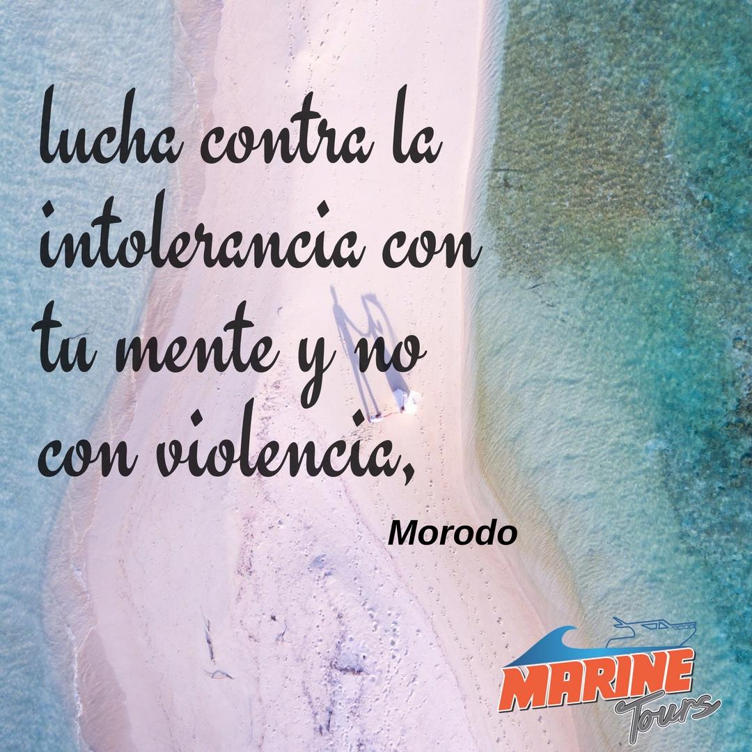 Marinetours_'s tweet photo. lucha contra la intolerancia con tu mente y no con violencia. Morodo https://t.co/eaiIKqCvsJ