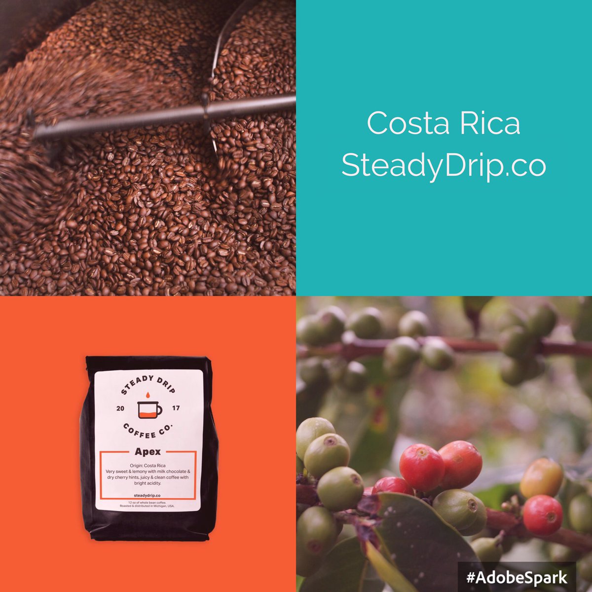 steadydripco's tweet image. Apex, our Costa Rica origin is great hot or cold. #coffee #coffeelover #freshroast #pourover #steadydrip