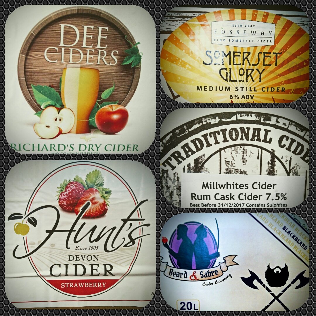 The Bay Hop tweet media