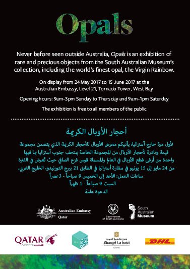 Xpat Life tweet media