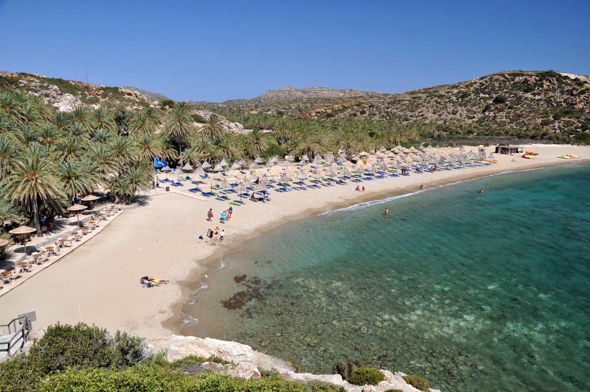 HellasBeach's tweet photo. Λασίθι-Βάι |Lasithi-Vai https://t.co/5ULr3doTHl #Greece #greek #summer #beach #travel #crete #vacation #hellas #vai #Traveller #creta https://t.co/0mhel2cMr8