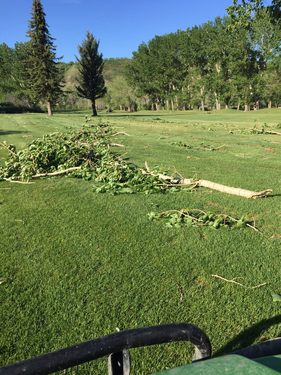 DinosaurTrailGC's tweet photo. Due to the wind storm we are CLOSED today at least until this afternoon. Stay tuned for updates. #Windstorm2017 https://t.co/Ljn8pPzbix