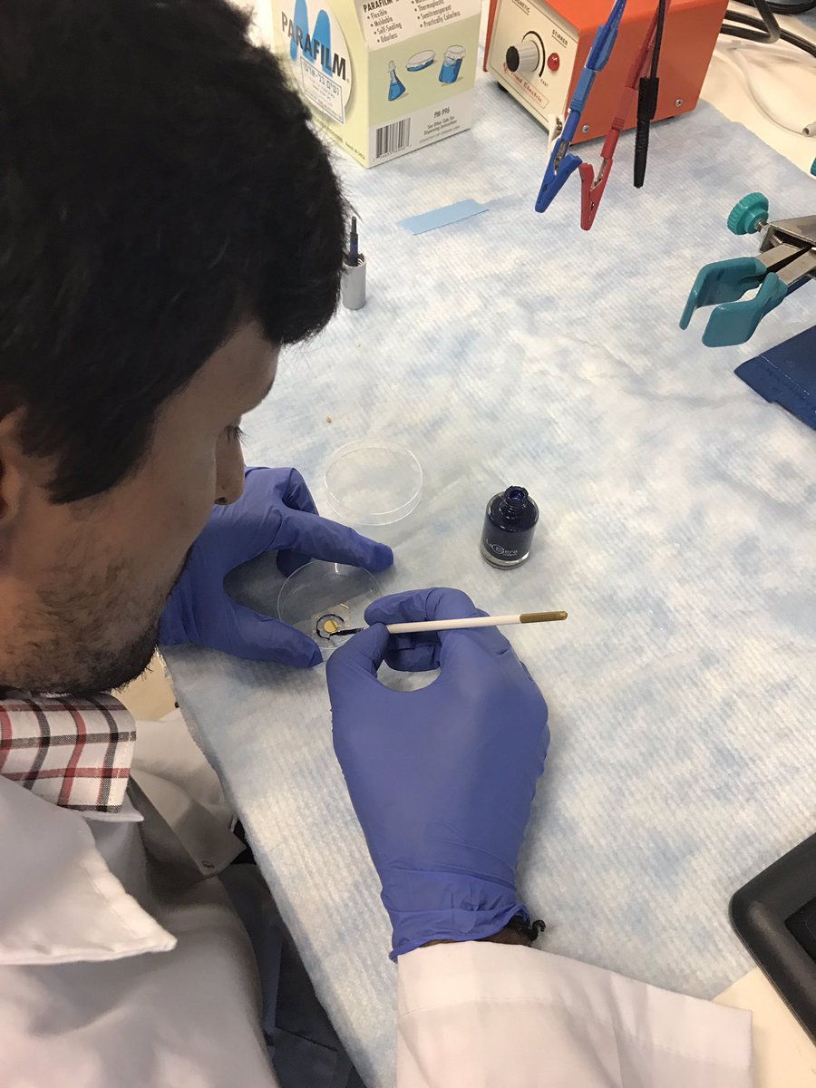 benyoav's tweet photo. Who said scientists are not artists??? Rajendra gently defines his #Lab_on_a_chip for #neurological_diseases monitoring #NBEL @bengurionu https://t.co/4wucu68Iwg