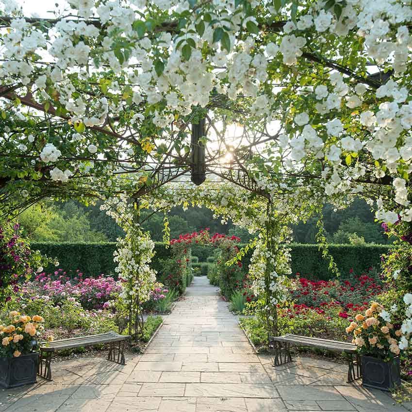 ELLEDecoUK's tweet photo. We're blooming excited for the 6-week Rose Festival in Rosemoor – with floral-themed craft & food all round. Details and dates in #EDJun17! https://t.co/IHBOYgwjjz