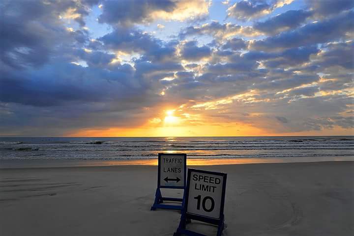 seasolshades's tweet photo. Make it Great !🌴 https://t.co/V1ebSbLZ4s