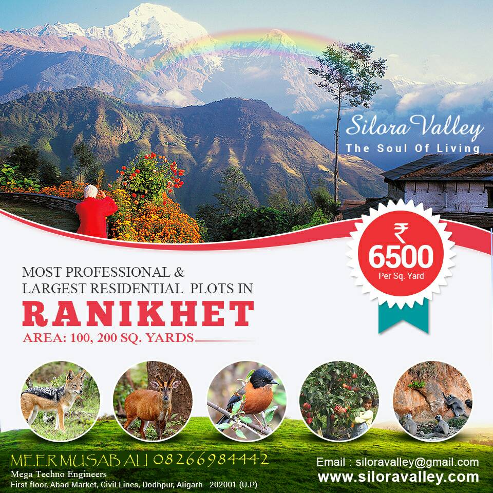 Shoeb Alam (@shoebal30006064) on Twitter photo 