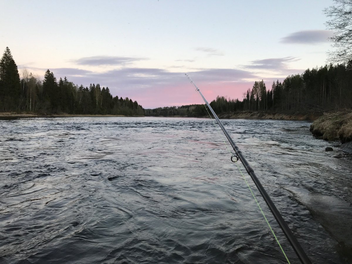 fishprep's tweet image. Share your passion for the water and what lies beneath the surface on fishprep.com