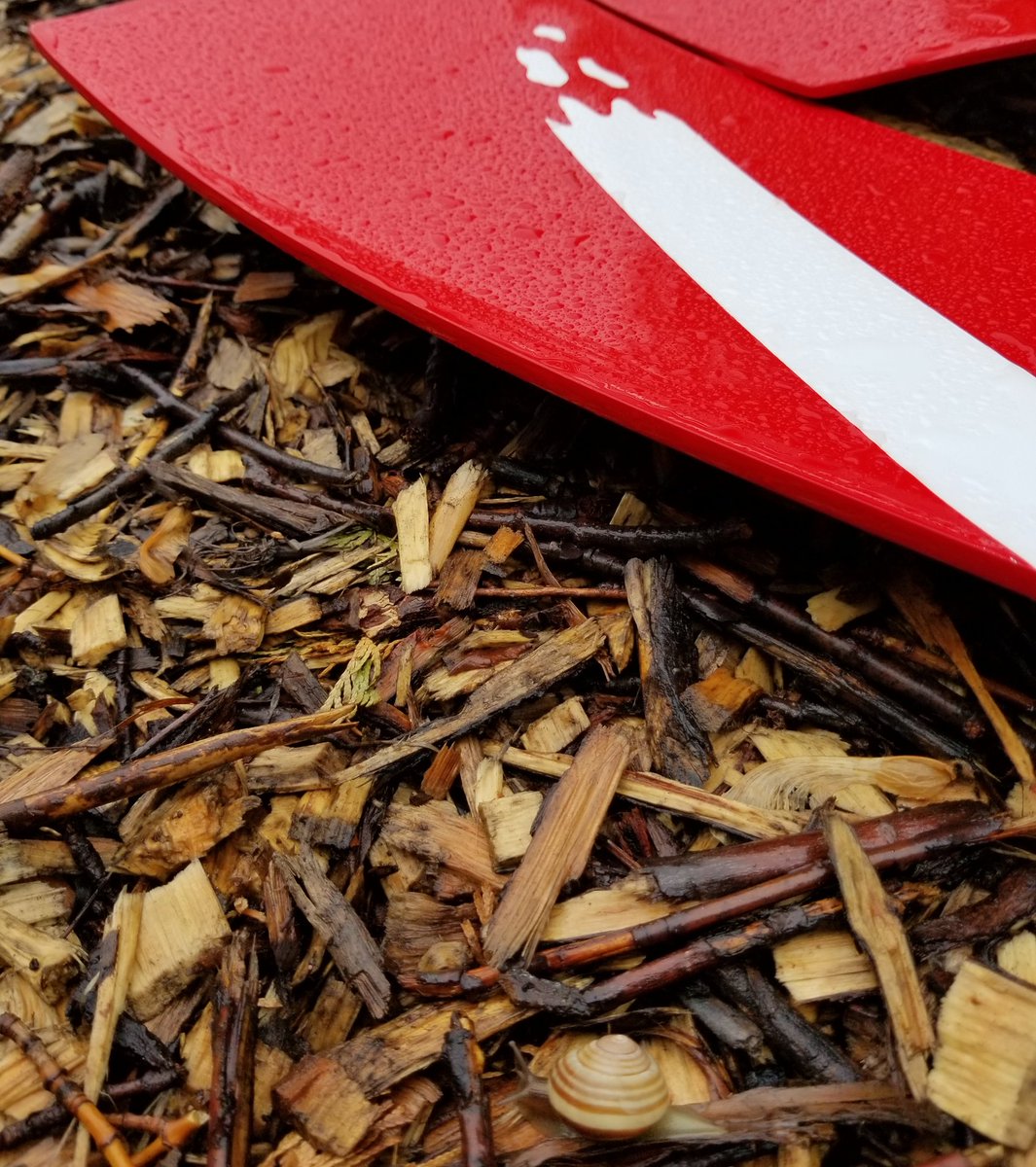 tnrow's tweet photo. #sculling with a snail on a Detroit canal! #DWRA #differentperspective #rowing https://t.co/W0AZA08LZ7