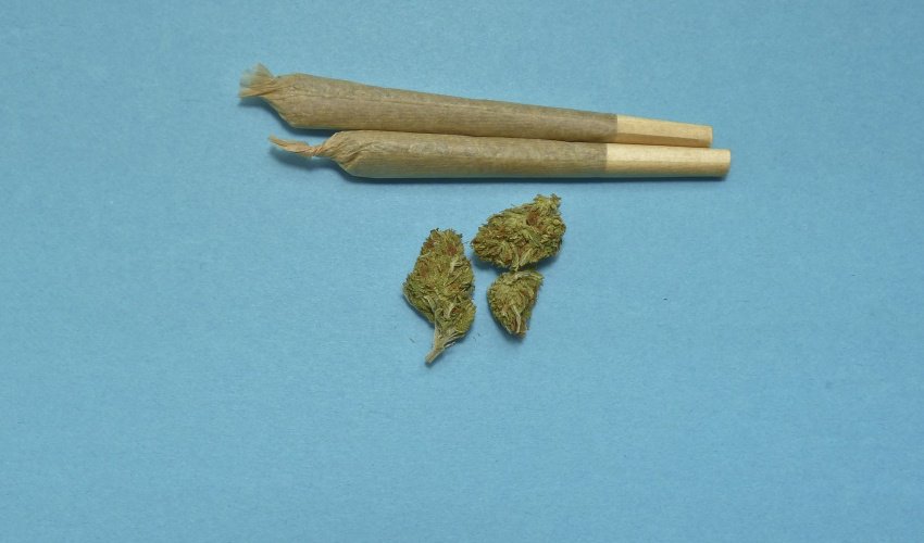 _InvesBrain's tweet photo. Is MedReleaf just what the doctor ordered for battered pot investors?
#MMJ #Cannabis https://t.co/197UcdwaWq https://t.co/qfKpTIUj9k