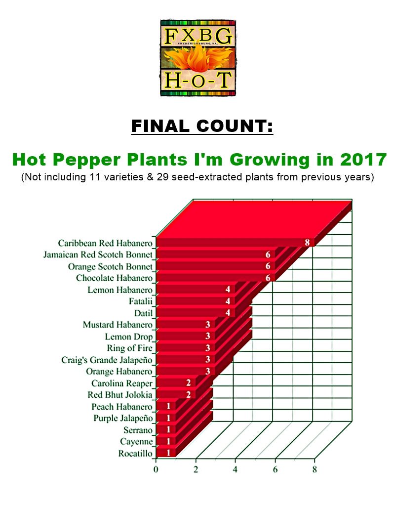 fxbgHOT's tweet photo. It's official! All 2017 #HotPepper🌿plants🌿are in ground &amp; ready to crank!🔊🎶🎶 Final tally: 62 originals from seed, &amp; 29 past seed extracts.🎉😜 https://t.co/LVCnIuIYVJ