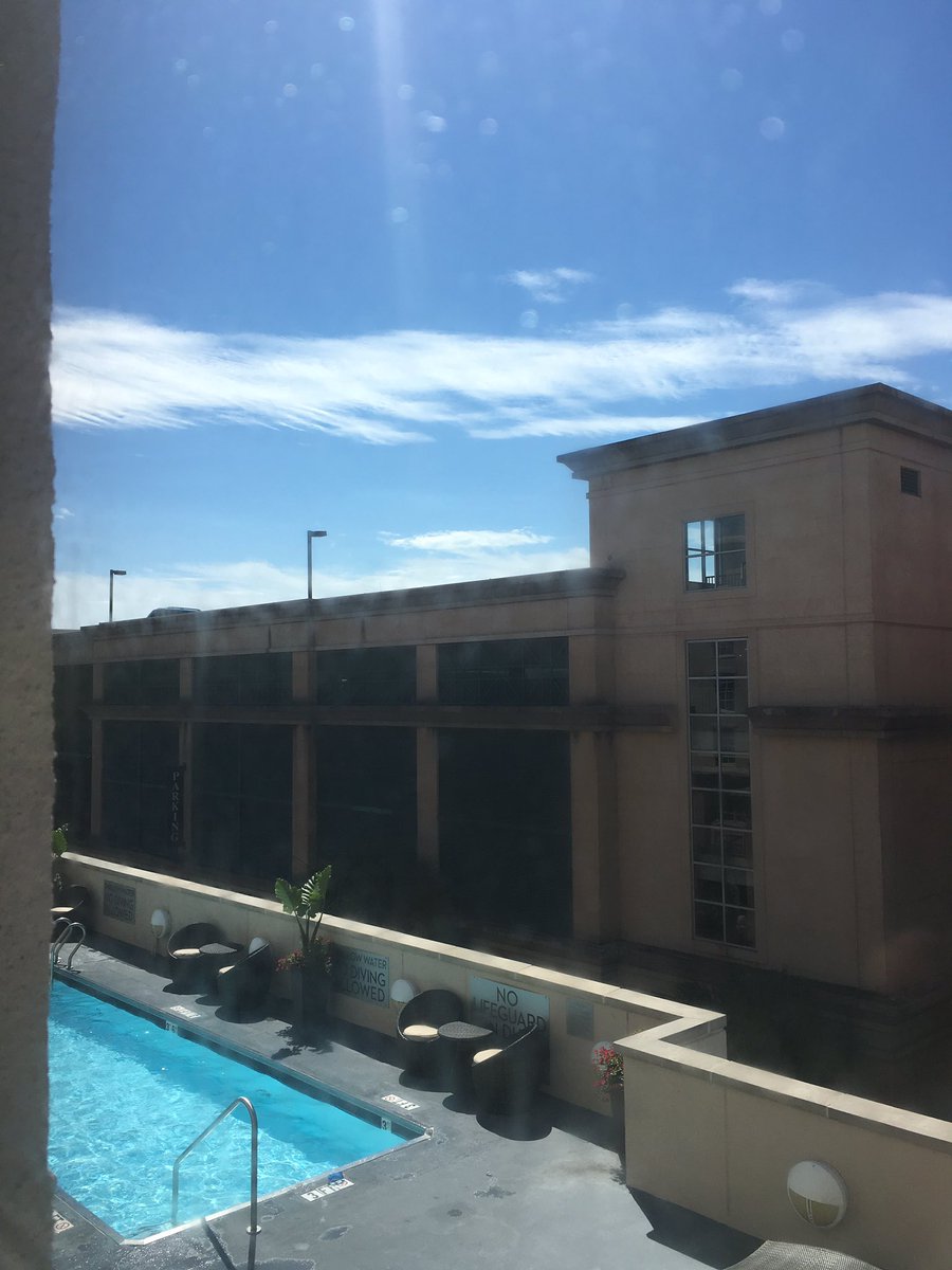 CockyDevilx's tweet photo. Well the sun is back out to play and so are we #Charleston https://t.co/MtRDUe74WF