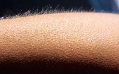 thaisbrachho's tweet photo. Será que a Lauren sabe o quanto a voz dela é gostosa de ouvir ? Meu Deus eu fico nervosa #StrangersIsComing https://t.co/O6dOWtqxza