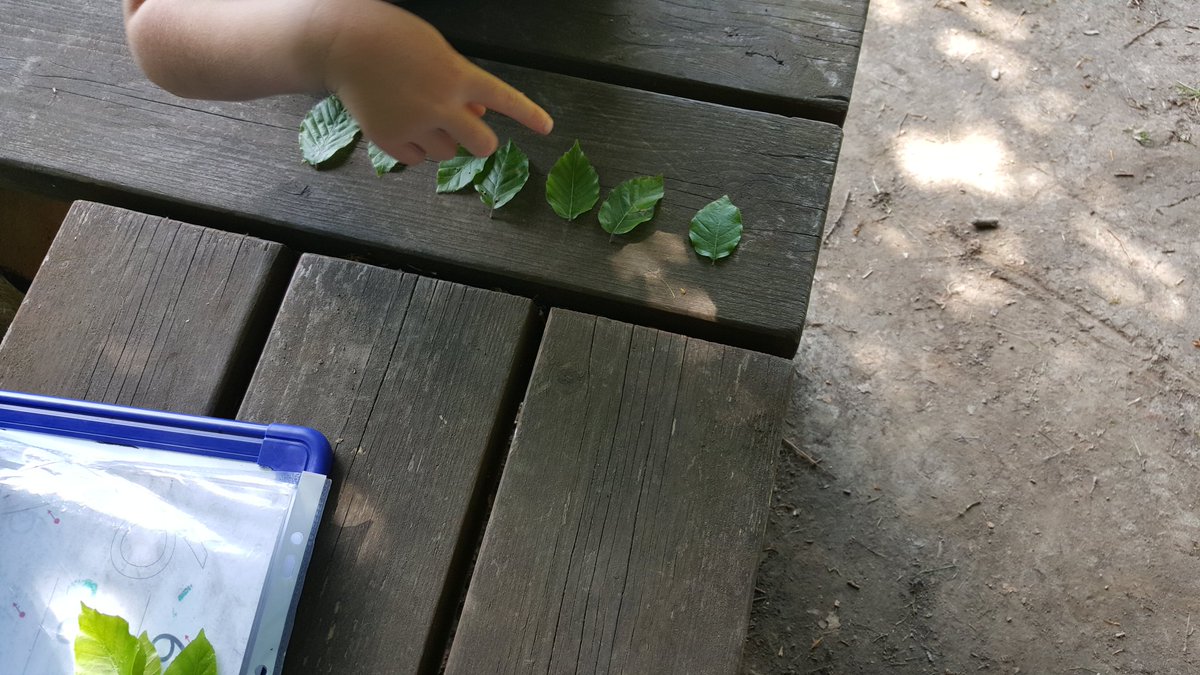 BothkennarC1's tweet photo. Having fun doing subtraction work with leaves#BothkennarPS https://t.co/qHot7QrfgV
