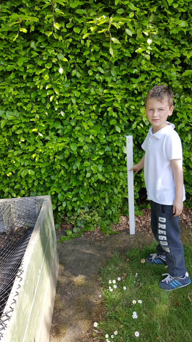 BothkennarC1's tweet photo. Fantastic weather to take our maths outside @BothkennarPS https://t.co/WOFAlwqe3L