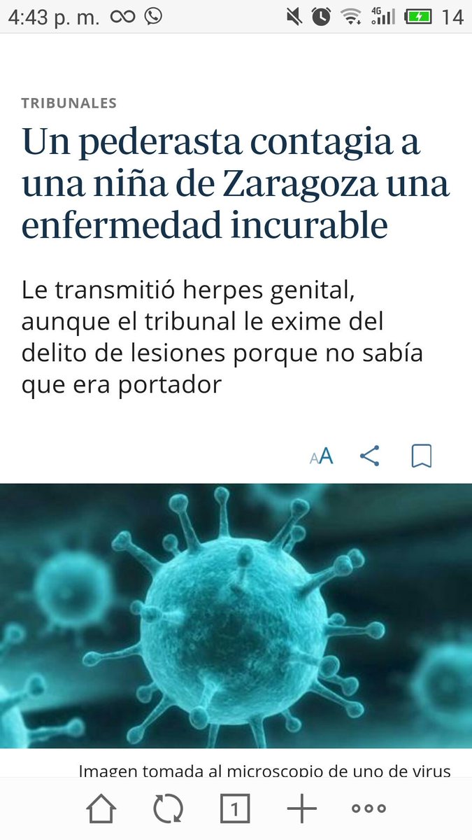 🔻Cariño con k tweet media