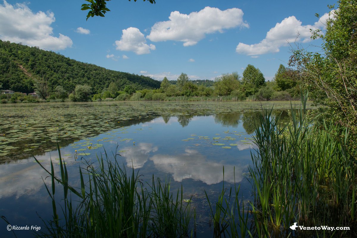 VenetoWay's tweet photo. Il Lago di Fimon #Vicenza sud #VenetoWay
#nature #photo for #holiday 😉 #followme
https://t.co/vOHecHT7ms la tua guida della regione #Veneto https://t.co/VmPLNjYmVv