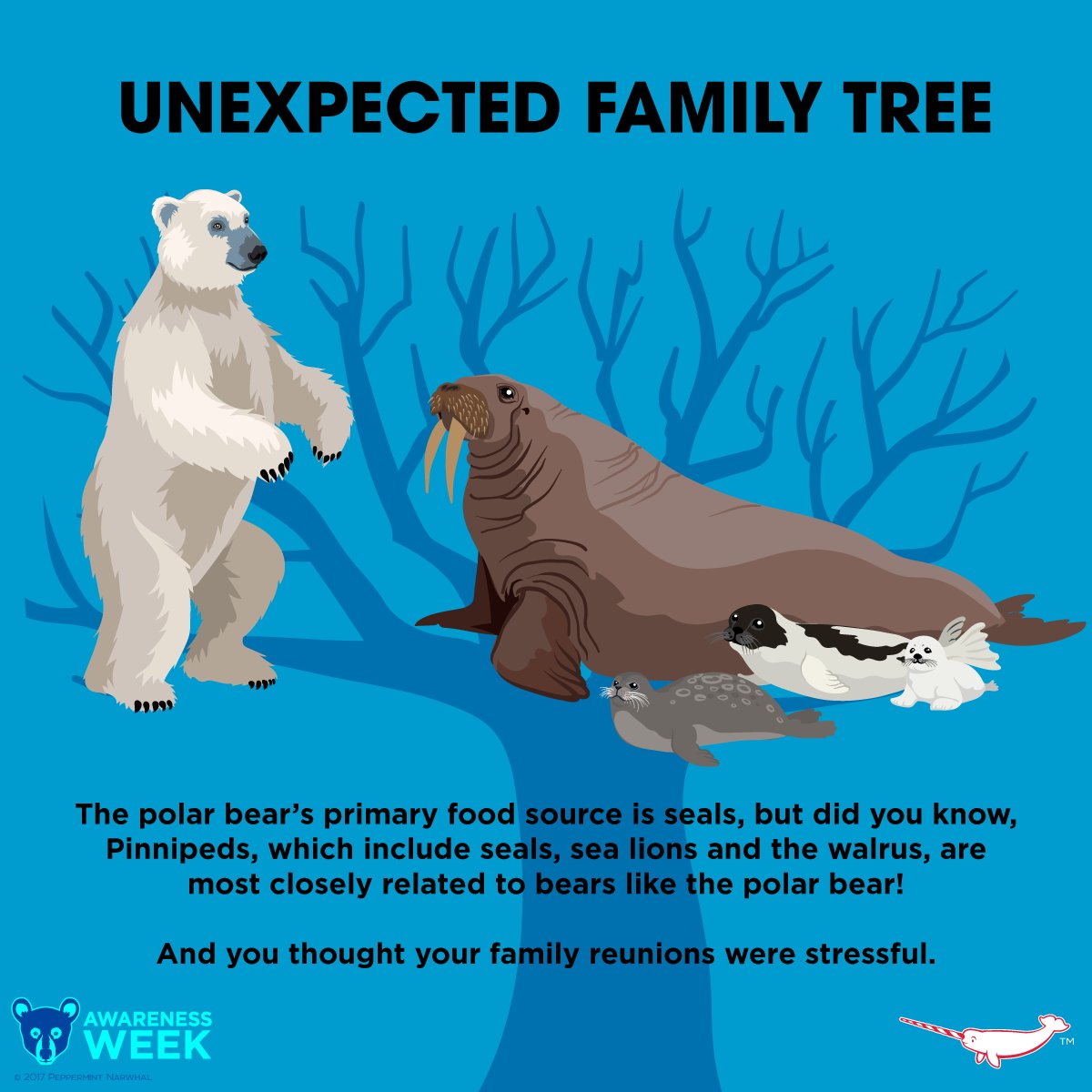 PepomintNarwhal's tweet photo. #UnexpectedFamilyTree of Bears
#BearAwarenessWeek
https://t.co/ISRfrTWwVu https://t.co/kkIzAMqDDm
