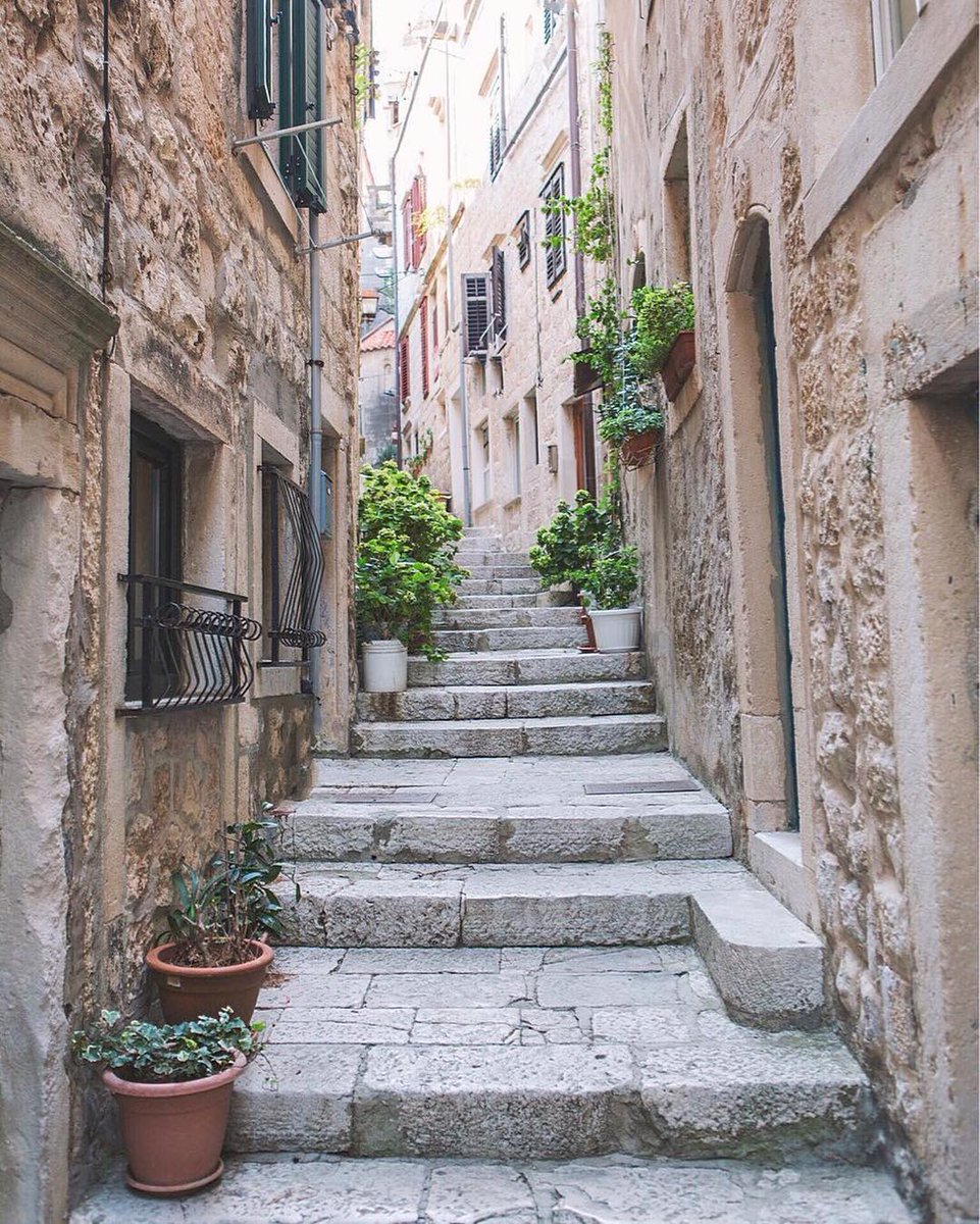 Savoteur tweet media