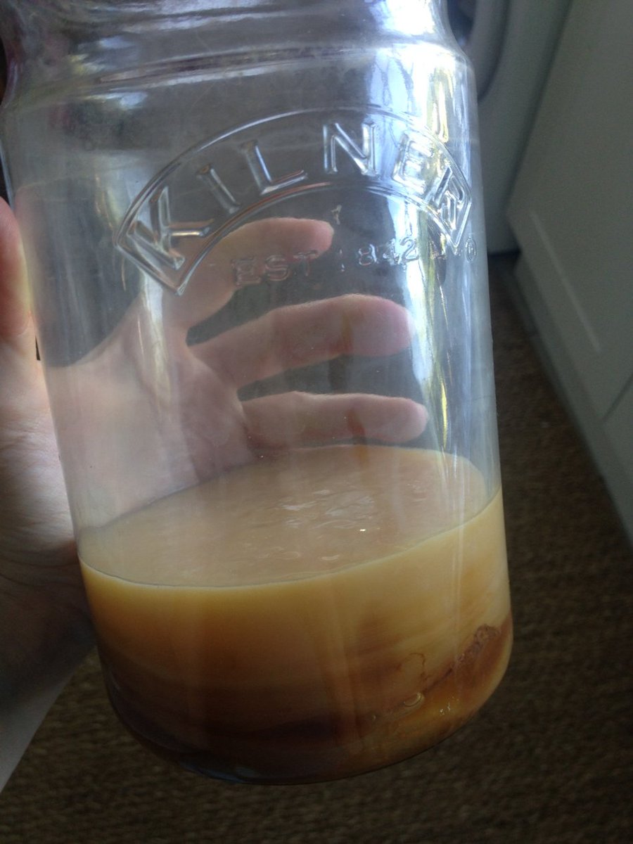GatherRdesigns's tweet photo. Yeeikes just found my scoby after nine months...what a resilient mother😲 https://t.co/Dh1jNu4ilQ
