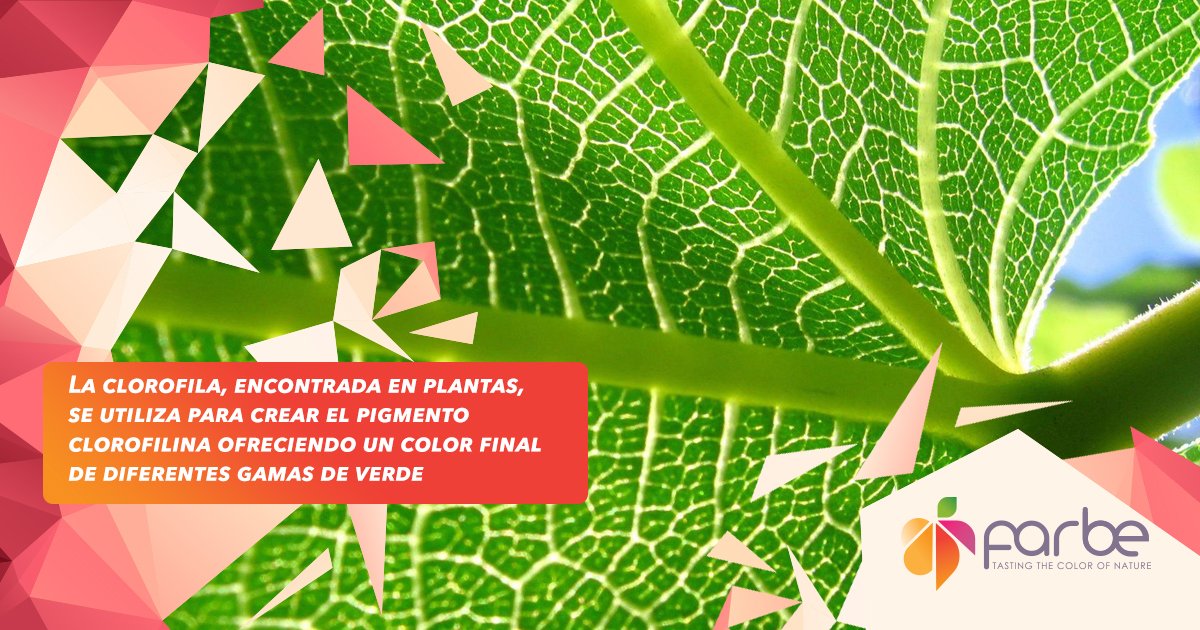 naturalcolour_'s tweet image. El verde es un color presente en toda la naturaleza. Úselo a su favor como #colorantenatural. Info: ow.ly/fZ1930bQ3dm