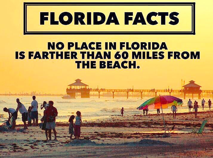 SusanTEAMHealth's tweet photo. #EmergencyMedicine #Physician opportunities in #Orlando Short drive to East & West coast beaches. Enjoy the #Florida life! #FEPofTEAMHealth https://t.co/OjXCIBCgSI