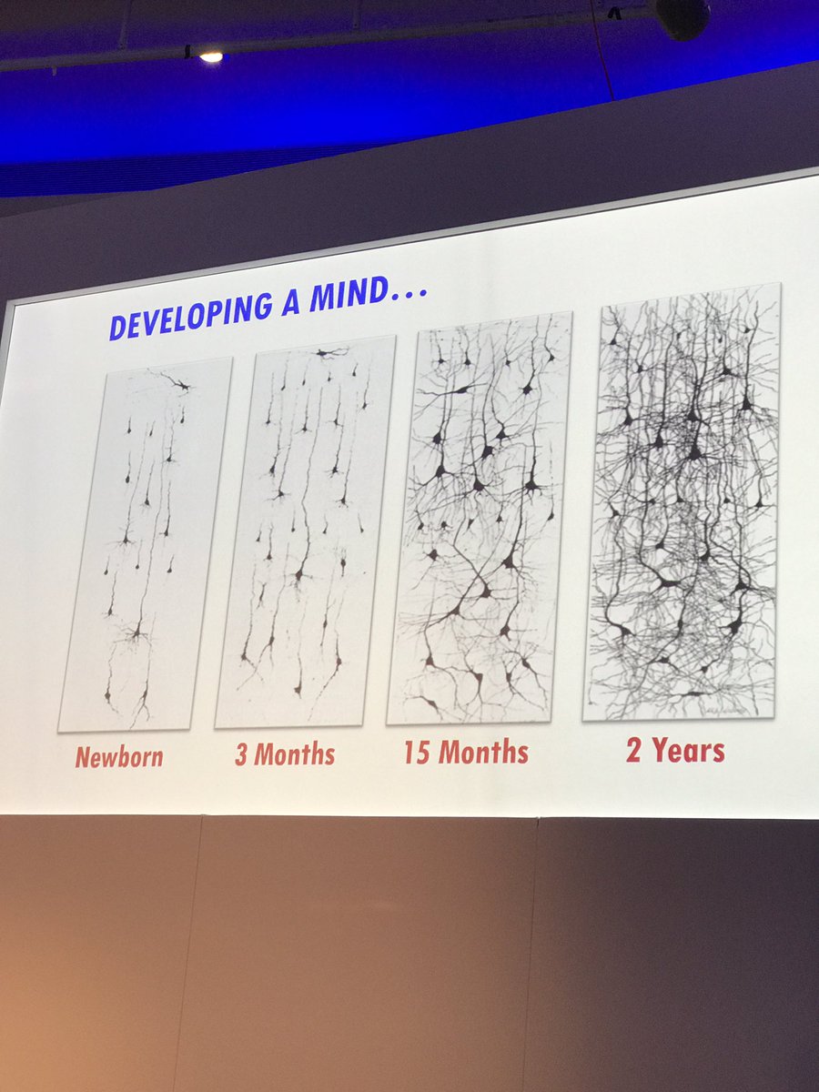 EQSummitLondon's tweet photo. We're delighted to welcome Baroness Susan Greenfield, discussing when neuroscience means business #EQsummit2017 https://t.co/T6Ll4HlmZZ
