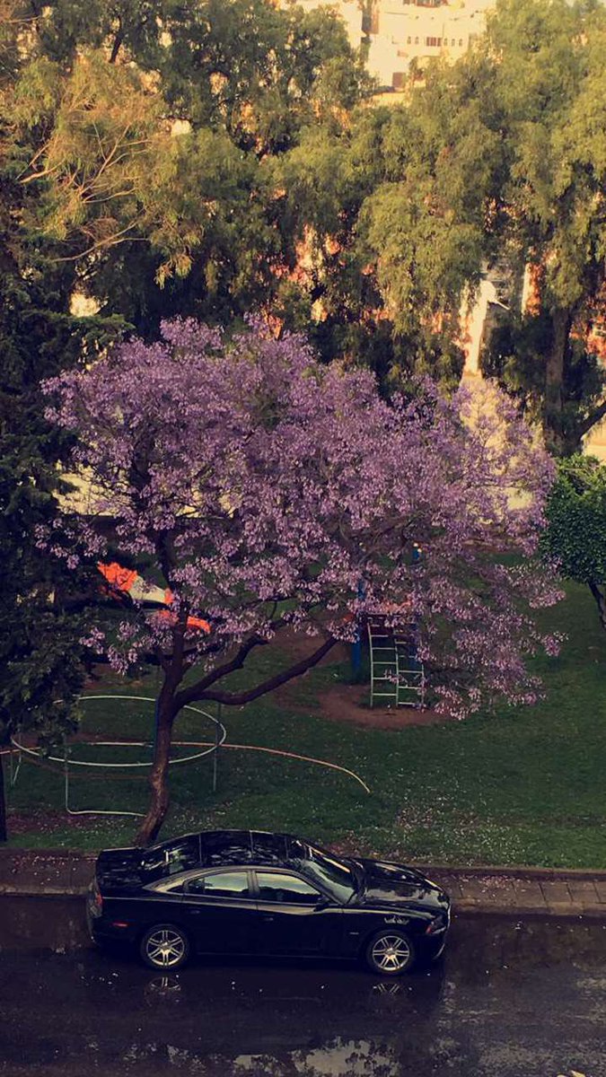 KW11M's tweet photo. ❀❥ 
ٓ
دائماً الأنسَانْ الطَيبّ مبتَسِم ؛ يَضحَك يُسَامح كَثِيراً؛ 
ٓ
يَتجَاهلْ كُل مَا يُؤلمُه ؛ لَكنْ لآ أحد يَعلم ما بداخله 
ٓ
#غرد_بصورة https://t.co/kZRviGKUHY