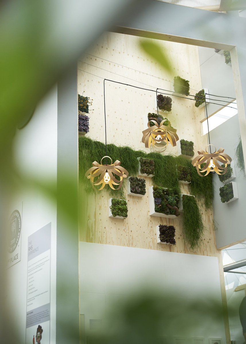 TomRaffield's tweet photo. A beautiful foliage backdrop for our Skipper Pendants in the Great Pavilion at #RHSChelsea > https://t.co/AahDQdxTb6 #tomraffield https://t.co/Rb4OJrpnVP