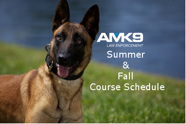 SouthernCoastK9's tweet photo. Now Booking Summer &amp; Fall 2017 #LawEnforcement Courses In Florida - Updated Schedule here: https://t.co/4Nr26eBUMX #AMK9 #K9Training https://t.co/lC4wrvcUew