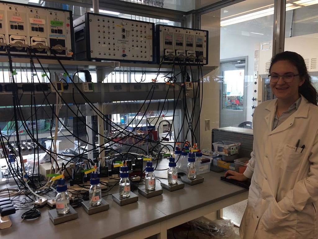 SolarBiocells's tweet photo. #meettheteam Olivia is one of our undergraduate summer researchers. Her project is focused on the production of po… https://t.co/FyVkCASbcm https://t.co/vWV0QVAXH7